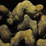 catacombs19.jpg